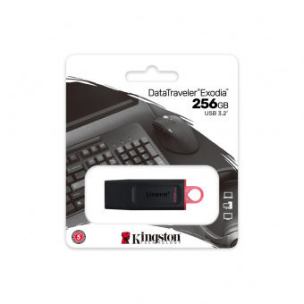 USB Flash drive 256 Gb Kingston DTX/256GB USB 3.2 Gen 1