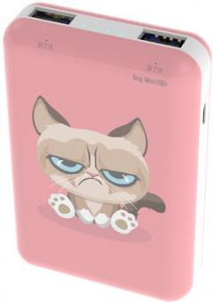                     Зарядное устройство Power bank Ritmix RPB-10007 Grumpy Cat