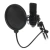 Студийный микрофон Ritmix RDM-169 черный