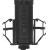 Студийный микрофон Ritmix RDM-260 USB Eloquence черный