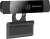 Веб камера Defender G-2599FULLHD черный